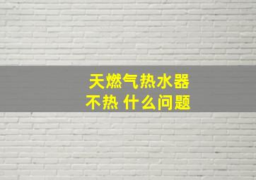 天燃气热水器不热 什么问题